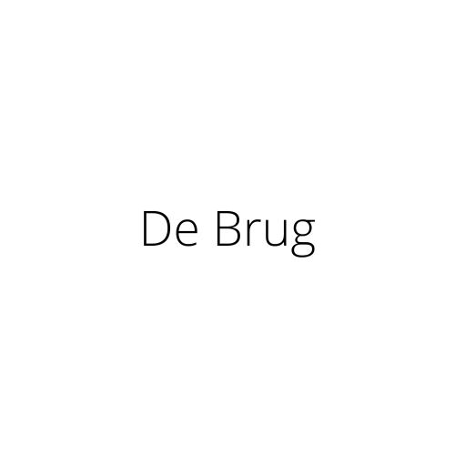 VZW De Brug – Belgium